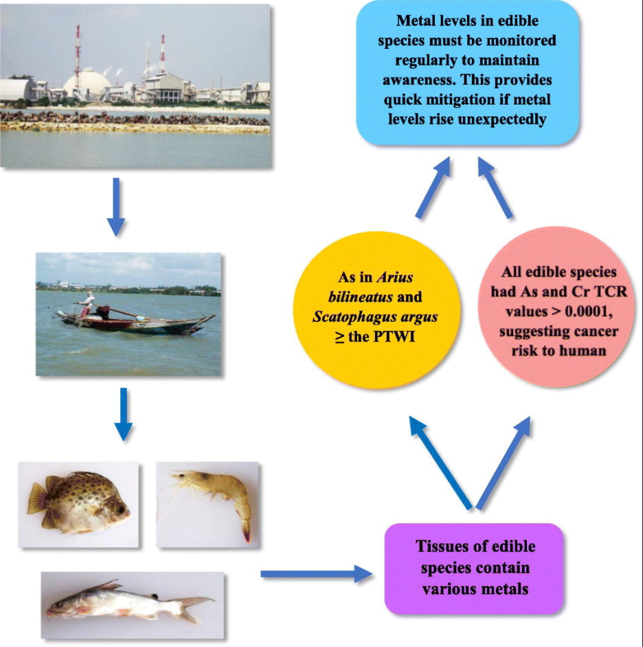 UNJ Research and Community Partnerships Highlight Aquatic Ecosystem Commitment